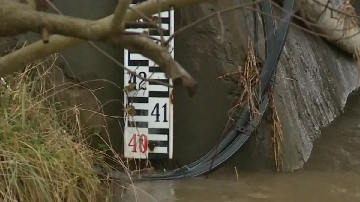 Sana u blagom rastu, Gomjenica stagnira