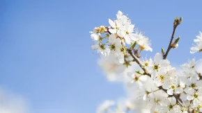 Obucite se slojevito: Vremenska prognoza za 11. april 2026. godine