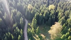 Od 5. do. 7. juna 20. Ozrenski maraton