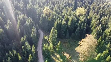 Od 5. do. 7. juna 20. ozrenski maraton