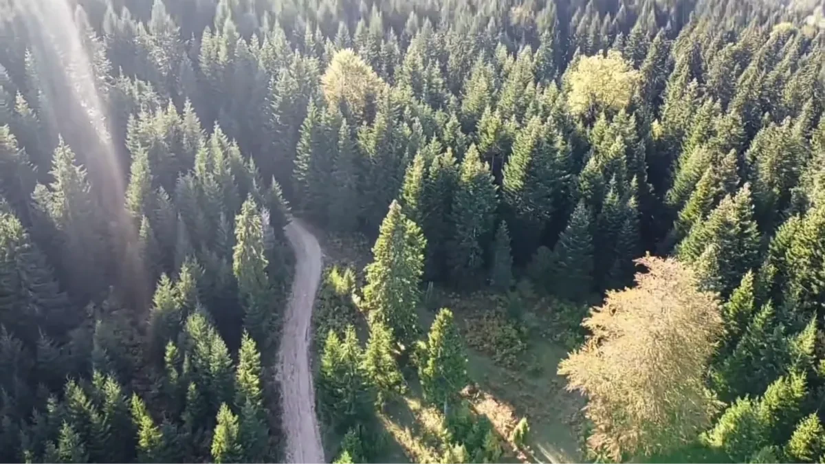 Od 5. do. 7. juna 20. Ozrenski maraton