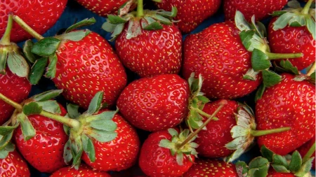 Ne dajte se zavarati: Evo kako da prepoznate domaće jagode