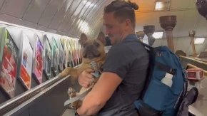 "Radio sam od jutra do večeri": Stolar dao otkaz jer njegov pas zarađuje više od njega