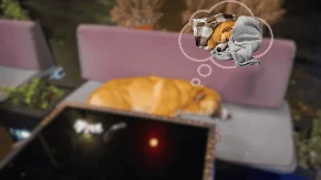 Dozvoljeno spavanje u kafiću posebnim gostima (FOTO)