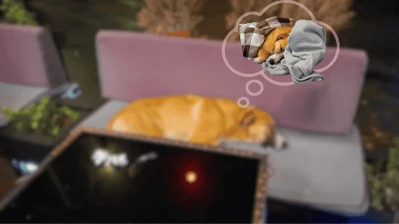 Dozvoljeno spavanje u kafiću posebnim gostima (FOTO)