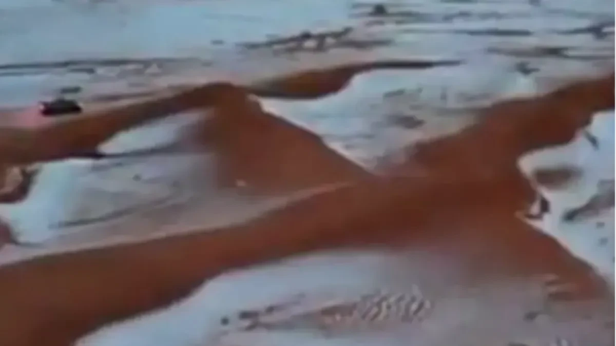 Snijeg u pustinji: Saudijska Arabija se preko noći pretvorila u ledenu bajku!