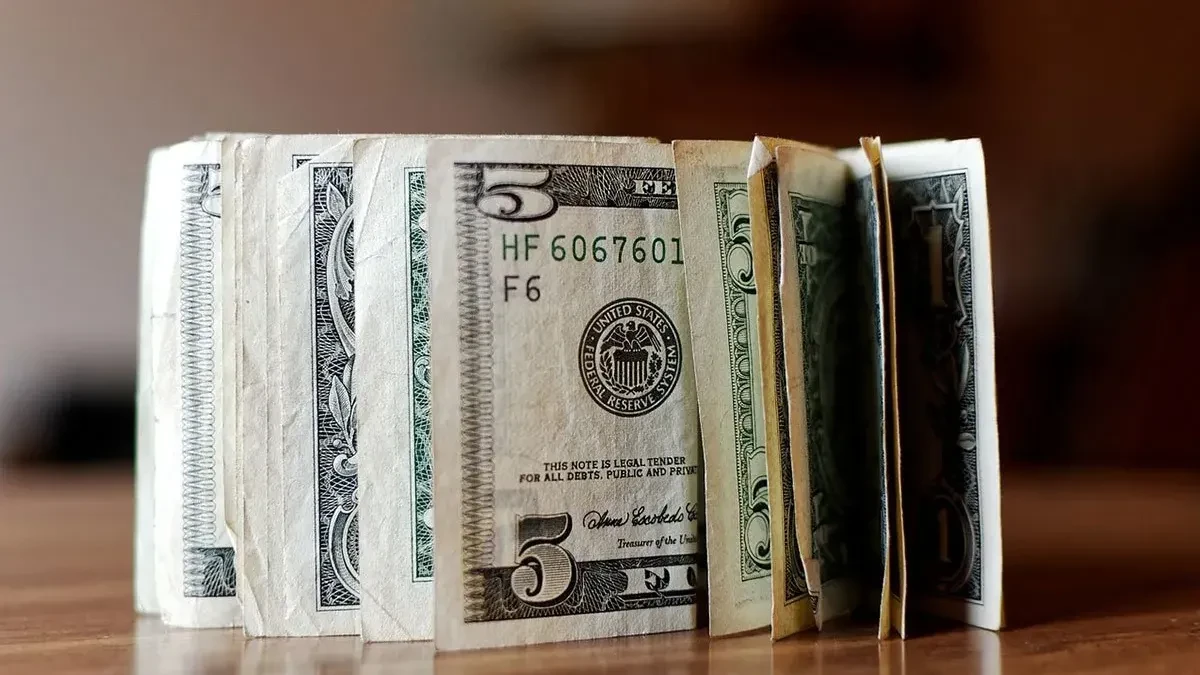 Bivši glavni ekonomista MMF-a: Dolar je precijenjen