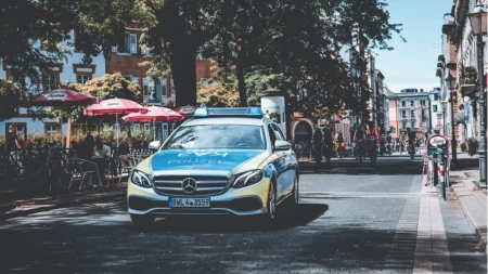 Mravi odgovorni za nekoliko saobraćajnih nesreća u Njemačkoj