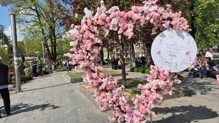 Proljećna bajka u Parku „Petar Kočić“: Počeo Festival cvijeća (FOTO)
