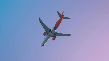 Haos na nebu: Piloti oponašali životinje na frekvenciji kontrole letenja