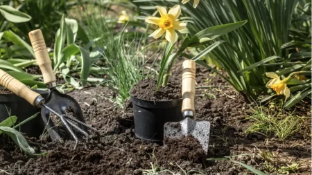 Nema više čupanja korova: Pospite jednu jeftinu namirnicu iz kuhinje i biće zauvijek uništen