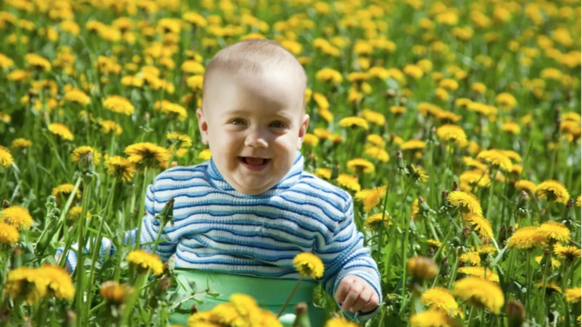 Najljepše vijesti iz porodilišta: Srpska bogatija za 25 beba