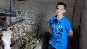 Mali gazda iz Ćehajića: Jedanaestogodišnji Asim zamijenio telefon poljoprivredom