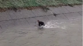 Ljudskost na djelu: Jovan iz Bratunca ušao u rijeku i spasio srnu (VIDEO)