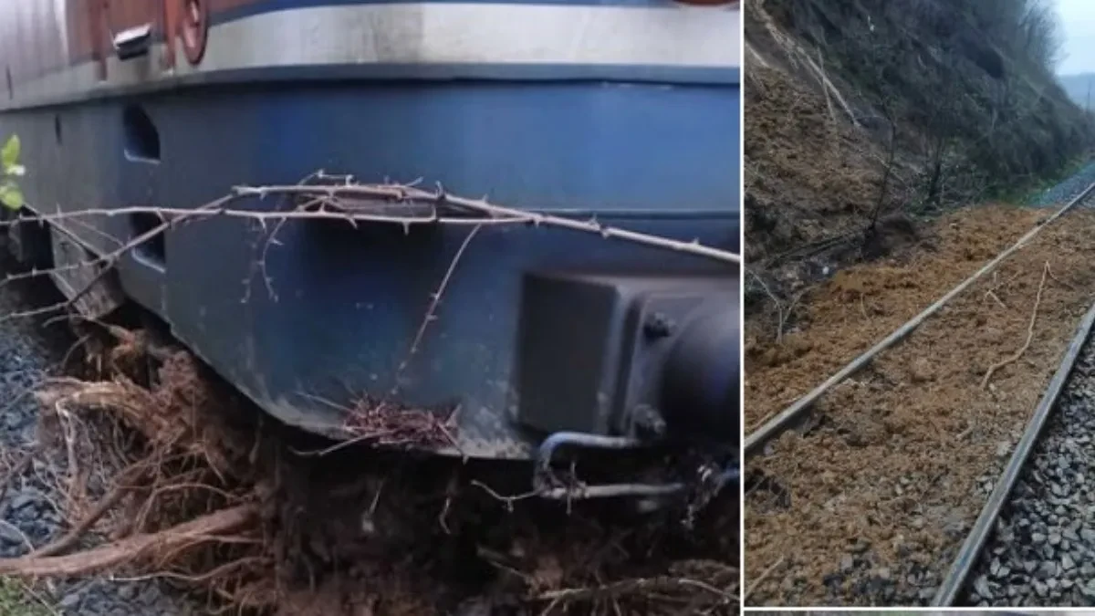 Voz ŽRS naletio na odron