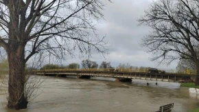 Sana stagnira, Gomjenica opada