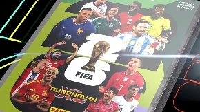 Panini napravio propust sa bh. reprezentacijom: Navijači izrazili nezadovoljstvo