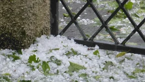 Nevrijeme i led nanijeli katastrofalnu štetu na Manjači