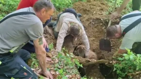 Nesvakidašnja akcija spasavanja kod Zagreba: Kobila izvučena iz jame duboke tri metra