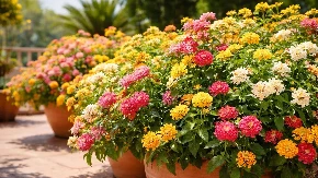 Savršeno cvijeće za sjenovite dijelove vrta: Šta posaditi krajem aprila?