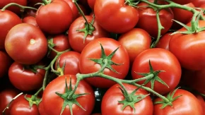 Baštovani tvrde da na ova mjesta nikako ne treba saditi paradajz