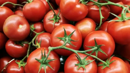 Baštovani tvrde da na ova mjesta nikako ne treba saditi paradajz