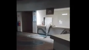 Krokodil ušetao u hotel tragajući za hranom (VIDEO)