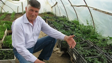 Sve više domaćinstava se odlučuje na proizvodnju zdrave hrane za vlastite potrebe (FOTO)