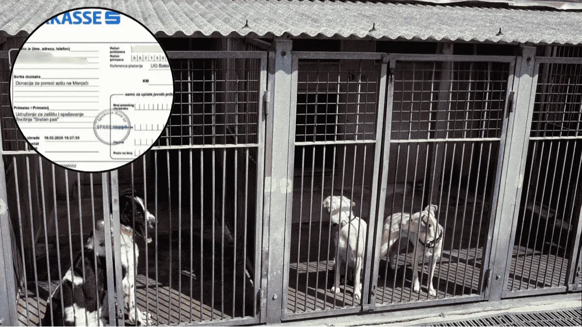 Životinje "razvlače" od Manjače do Dervente: Kako je 300.000 KM javnog novca "isparilo" kroz fantomsko udruženje Mile Šarić