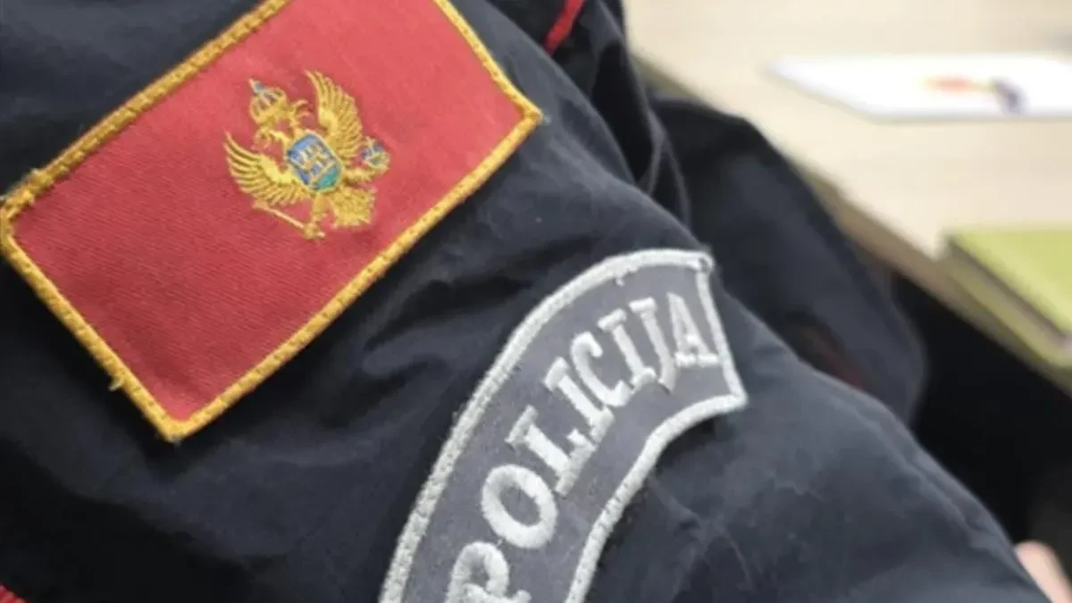 Policija uhapsila Sarajliju zbog lažne dojave o bombi u podgoričkoj školi