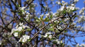 Danas sunčano, temperatura do 27 stepeni Celzijusovih
