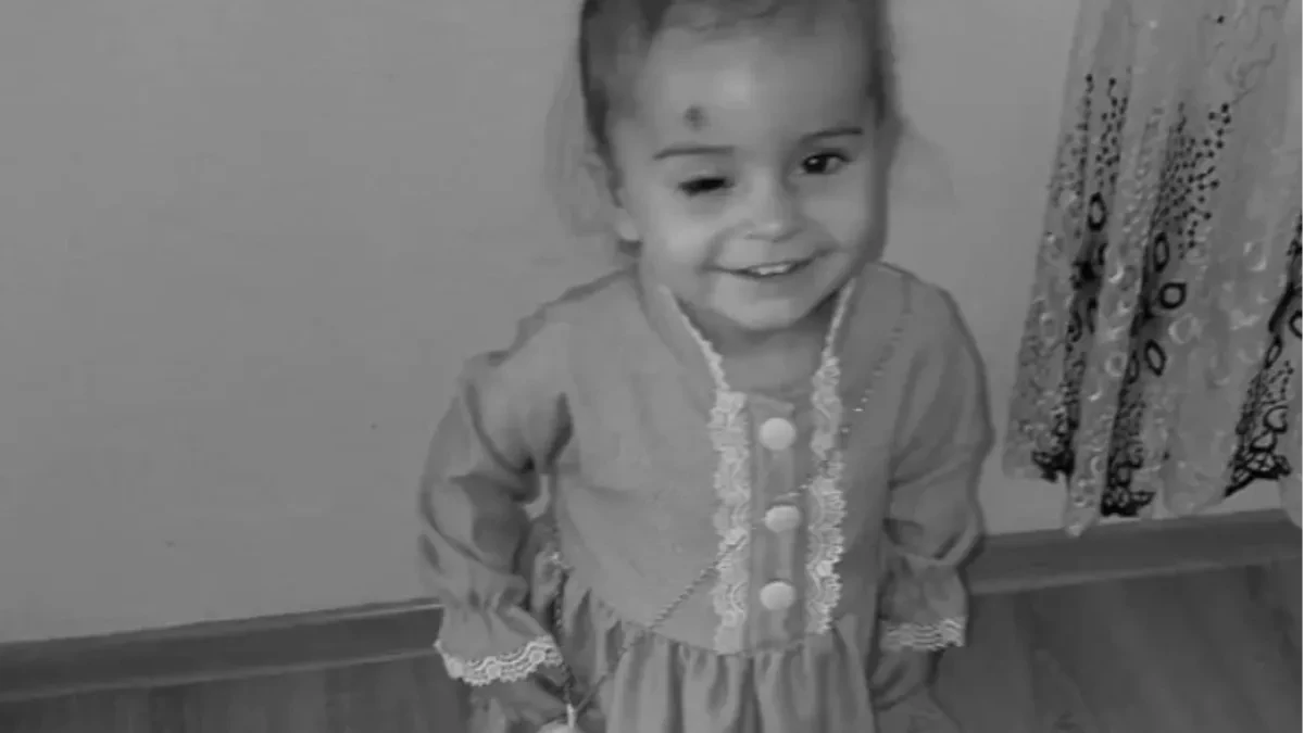 Kantonalni sud danas donosi prvostepenu presudu u slučaju Džene Gadžun