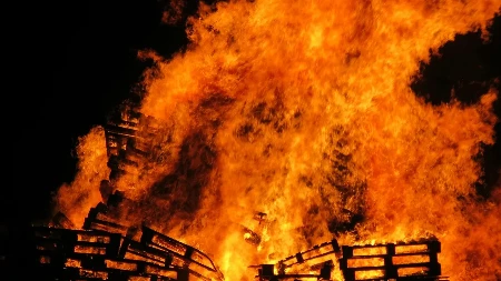 Vanredno stanje u Džordžiji: Rekordna šteta u šumskim požarima