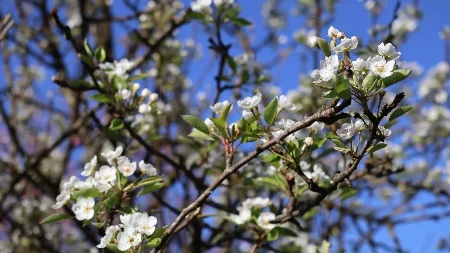 Danas sunčano i prijatno toplo