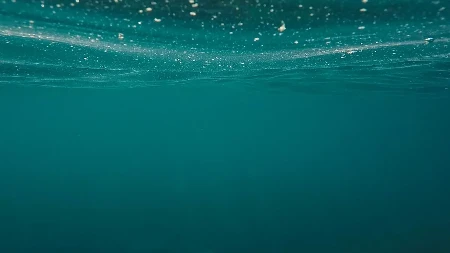 Misteriozna bića iz pacifičkih dubina: Ekspedicija otkrila život na rekordnih 10.000 metara