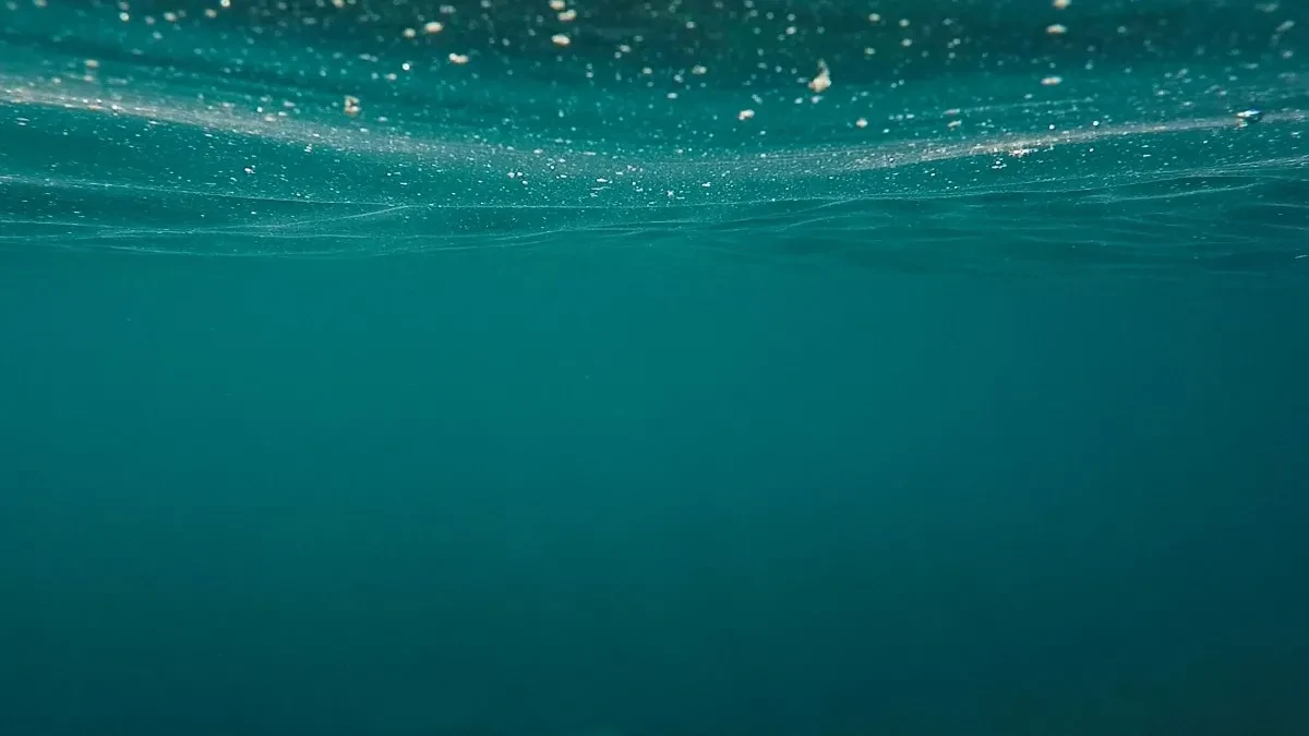 Misteriozna bića iz pacifičkih dubina: Ekspedicija otkrila život na rekordnih 10.000 metara