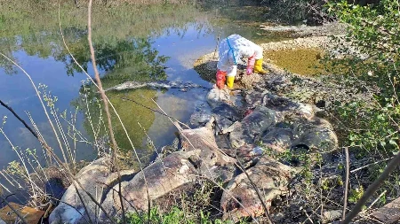 Reagovalo resorno Ministarstvo:  Traži se hitno pronalaženje krivaca i kazne koje će "opametiti" građane