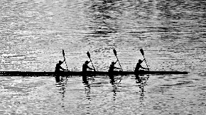 Incident na Tari: Muškarac optužen da je kolegicu udario veslom u glavu