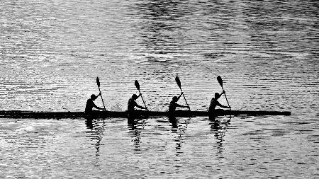 Incident na Tari: Muškarac optužen da je kolegicu udario veslom u glavu