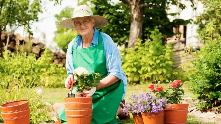 Prirodna infuzija od lovorovog lista: Jednostavan recept za bujnije cvijeće i povrće