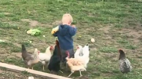 Viralni snimak mališana i kokoški: Prizor koji je podijelio internet – od smijeha do kritika roditeljima