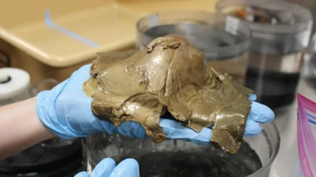 ​Riješena misterija iz dubina: Šta je zapravo "zlatno jaje" pronađeno kod Aljaske?