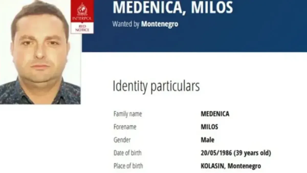 Dvije osobe uhapšene zbog skrivanja Miloša Medenice