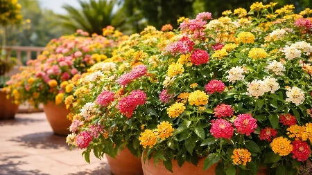 Popularno cvijeće koje nikada ne smijete saditi zajedno