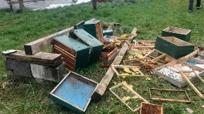 Medvjed opustošio pčelinjak kod Travnika: Domaćin Zaim Jašarević ostao bez košnica i pčelinjih društava