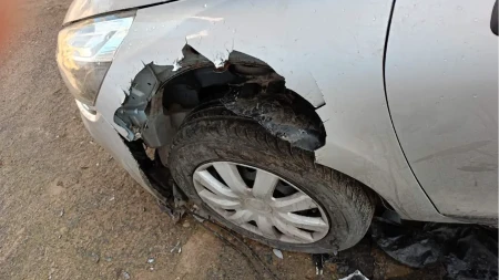 Pas „pojeo“ parkirani automobil, vlasnik suočen sa ogromnom štetom