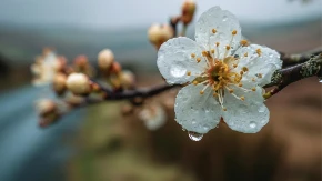 Sutra sunčano i toplije, temperatura do 23 stepena
