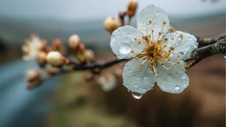 Sutra sunčano i toplije, temperatura do 23 stepena