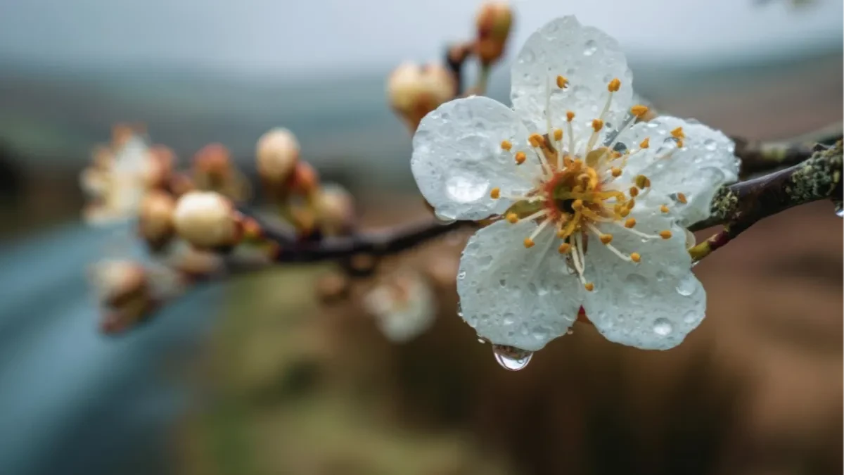 Sutra sunčano i toplije, temperatura do 23 stepena