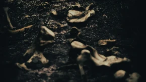 U Savi pronađene ljudske kosti